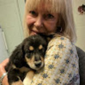 Meet your Posher, Joni